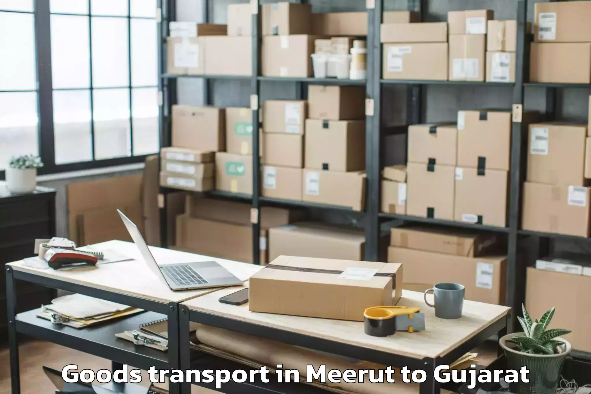 Trusted Meerut to Navrachana University Vadodara Goods Transport